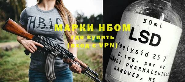шишки Алексин